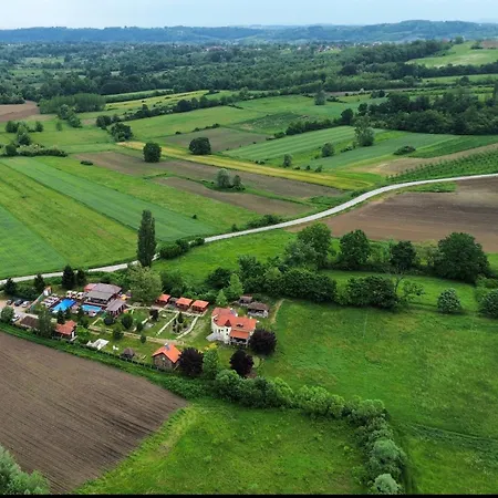 Brvnara Ruza Rumena بيت خشبي Mionica