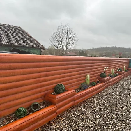 Brvnara Ruza Rumena *