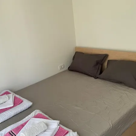 Brvnara Ruza Rumena * Mionica