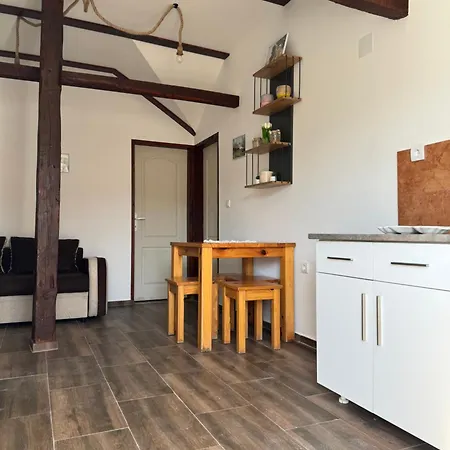 بيت خشبي Brvnara Ruza Rumena Mionica