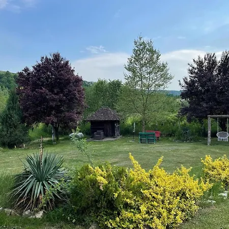 Brvnara Ruza Rumena * Mionica