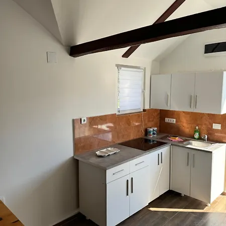 Brvnara Ruza Rumena بيت خشبي Mionica