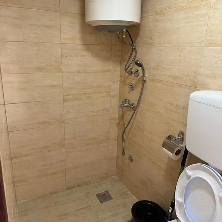 Brvnara Ruza Rumena * Mionica